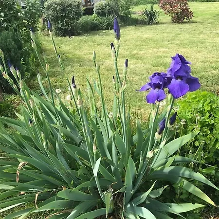 Holiday home Corps De Ferme Avec Un Immense Jardin Agreable